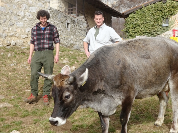 DAI GIOVANI “BRICCONI” UN TESORO DI STRACCHINO